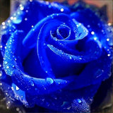 Full Round Daimond Painting 5D DIY Diamond Painting Cross