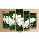 5PCS Full Diamond Embroidery 5d Diy Diamond