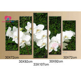 5PCS Full Diamond Embroidery 5d Diy Diamond