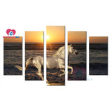 DIY 5d Diamond painting Animal accessories full drill