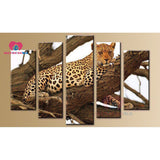Diamond embroidery sale 5d diamond painting