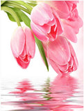 full diamond embroidery,rhinestone painting,embroidery