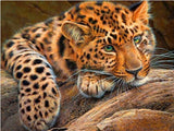 Home Animal landscape character 5D Diamond Painting Cross